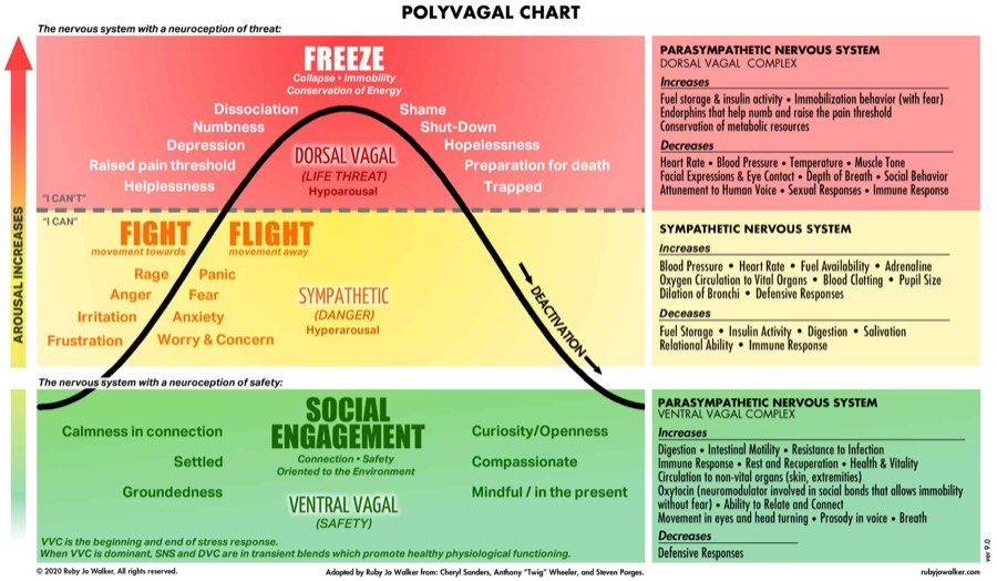 polyvagal.jpg
